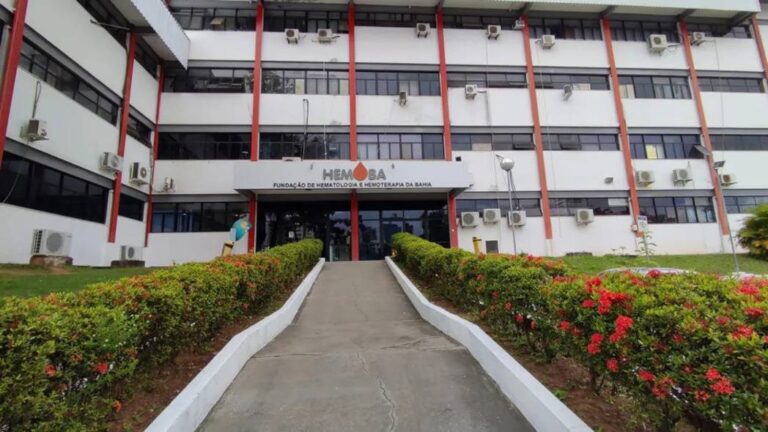 Hemoba Informa: Estoque de Sangue em Nível Crítico Durante o Feriado do Trabalhador