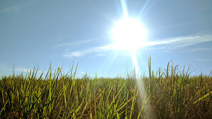 Clima no Agronegócio: Outono Começa com Instabilidade e Relevância do Monitoramento Agrometeorológico Clima no Agronegócio: Outono Começa com Instabilidade e Relevância do Monitoramento Agrometeorológic