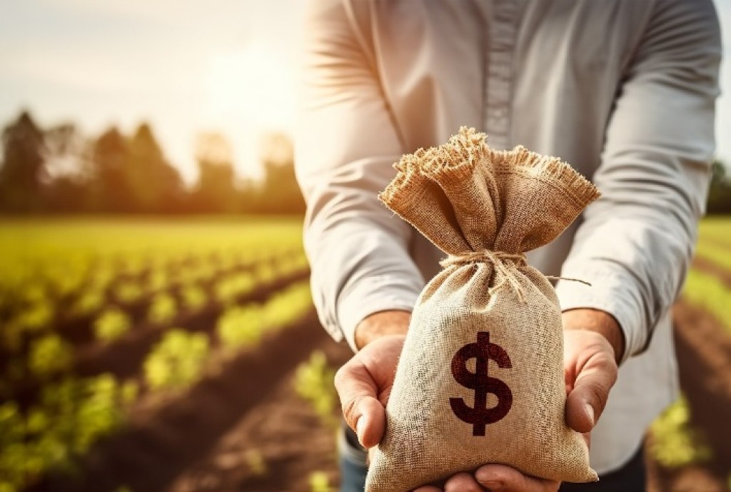 Crédito no Agronegócio: Armadilha Financeira e Desafios à Vista Crédito no Agronegócio: Armadilha Financeira e Desafios à Vista