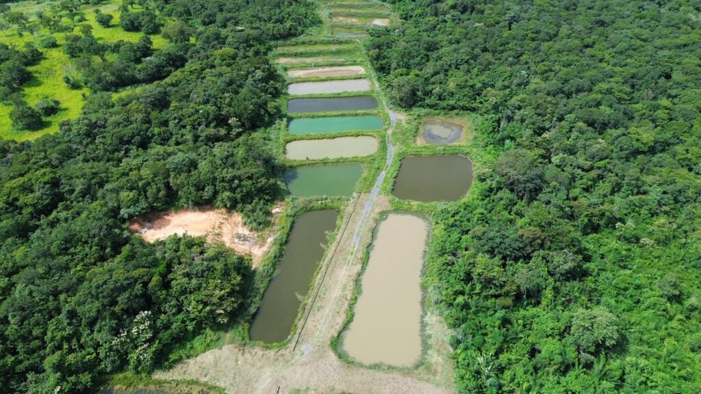 Inovação no Agronegócio: Embrapa Inaugura Unidade Estrategicamente Localizada em Mato Grosso Inovação no Agronegócio: Embrapa Inaugura Unidade Estrategicamente Localizada em Mato Grosso