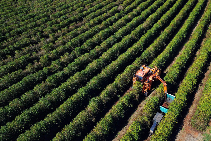Agronegócio no Paraná: BRDE Contrata R$ 1,26 Bilhão em 2025 e Amplia Oportunidades Agronegócio no Paraná: BRDE Contrata R$ 1,26 Bilhão em 2025 e Amplia Oportunidades