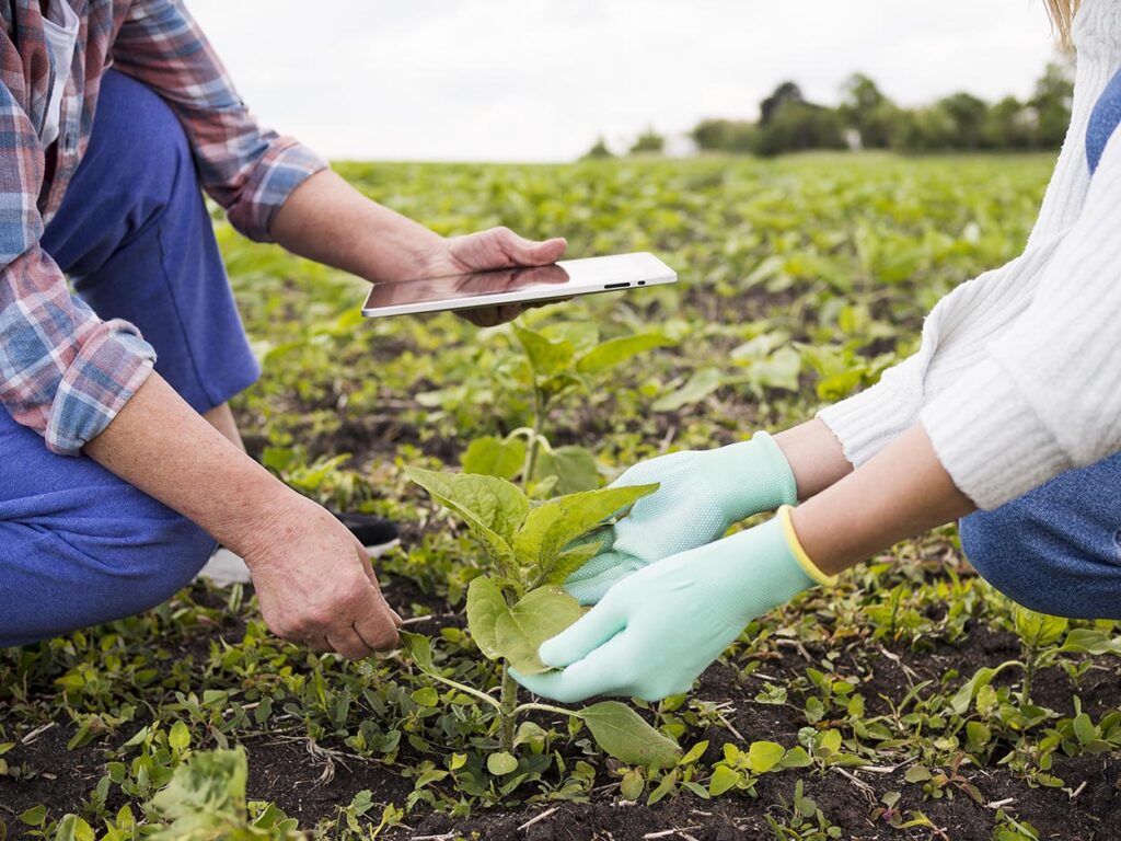 Programa Geração Agro: Capacitando Jovens para a Sucessão no Agronegócio