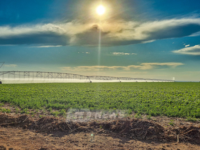 Perspectivas de Investimento em 2026: Renda Fixa e Agronegócio em Alta Perspectivas de Investimento em 2026: Renda Fixa e Agronegócio em Alta