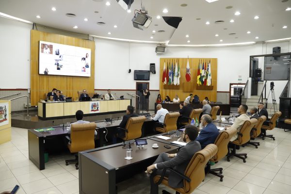 Câmara Municipal de Jacareí aprova política de saúde mental para gestantes e puérperas Câmara Municipal de Jacareí aprova política de saúde mental para gestantes e puérperas