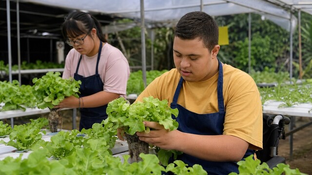 Inclusão de PcDs e Pessoas com TEA no Agronegócio de MS: Uma Iniciativa Transformadora Inclusão de PcDs e Pessoas com TEA no Agronegócio de MS: Uma Iniciativa Transformadora