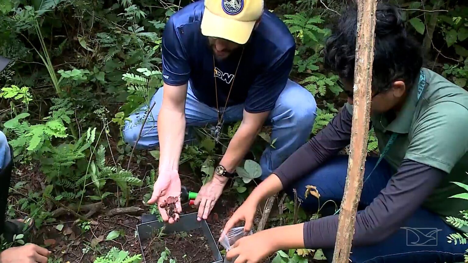 Inovações Tecnológicas e Projetos Ambientais em Destaque no Maranhão