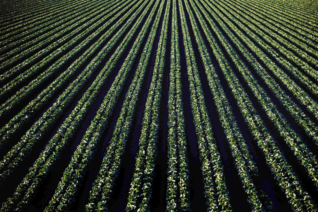 Títulos Privados do Agronegócio Superam R$ 1,4 Trilhão com Crescimento de 18% em um Ano Títulos Privados do Agronegócio Superam R$ 1,4 Trilhão com Crescimento de 18% em um Ano