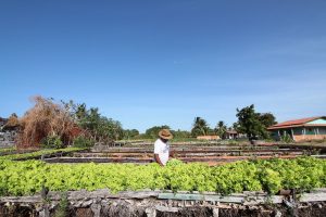 Amílcar Silveira prevê crescimento do agronegócio cearense até 2026 Amílcar Silveira prevê crescimento do agronegócio cearense até 2026