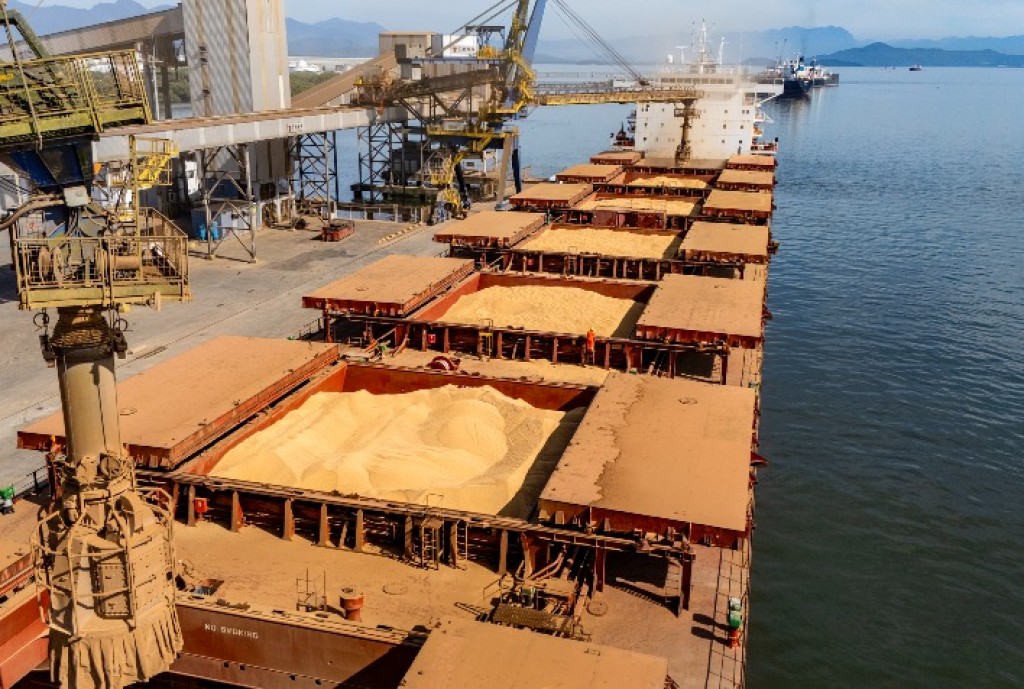 Anec Revisa Previsão de Exportação de Soja em Janeiro, Brasil Rumo a Novo Recorde Anec Revisa Previsão de Exportação de Soja em Janeiro, Brasil Rumo a Novo Recorde