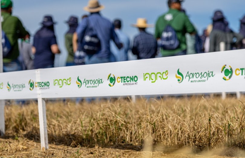 CTECNO Araguaia Revela Avanços em Pesquisa de Cultivo de Soja em Solo Siltoso CTECNO Araguaia Revela Avanços em Pesquisa de Cultivo de Soja em Solo Siltoso