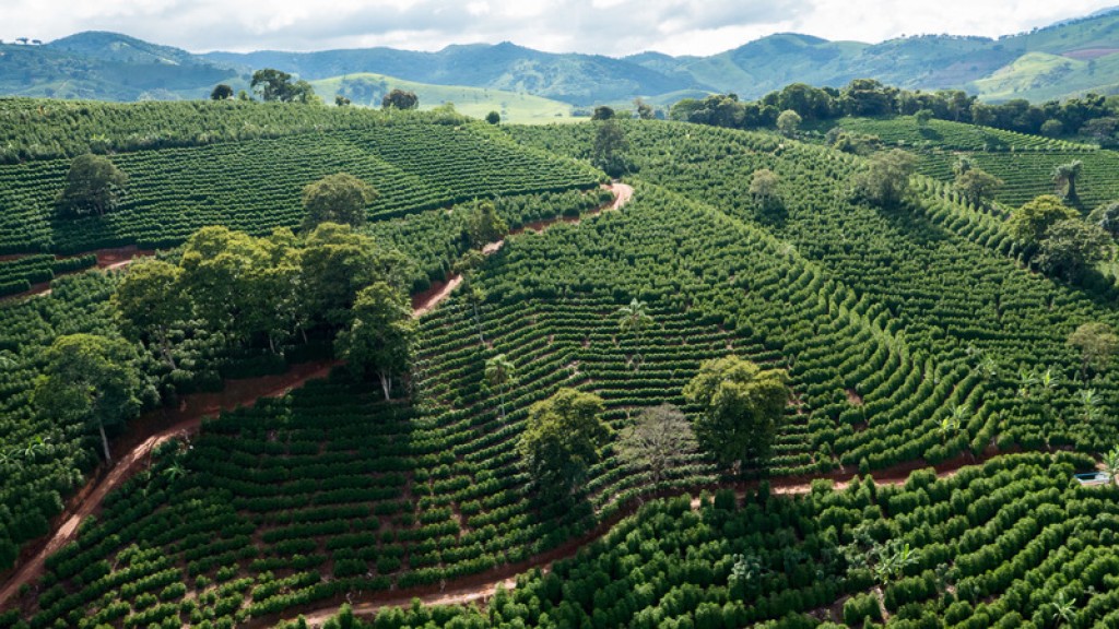 Grupo de Trabalho Avalia Uso de Inteligência Geoespacial na Cafeicultura de Minas Gerais Grupo de Trabalho Avalia Uso de Inteligência Geoespacial na Cafeicultura de Minas Gerais