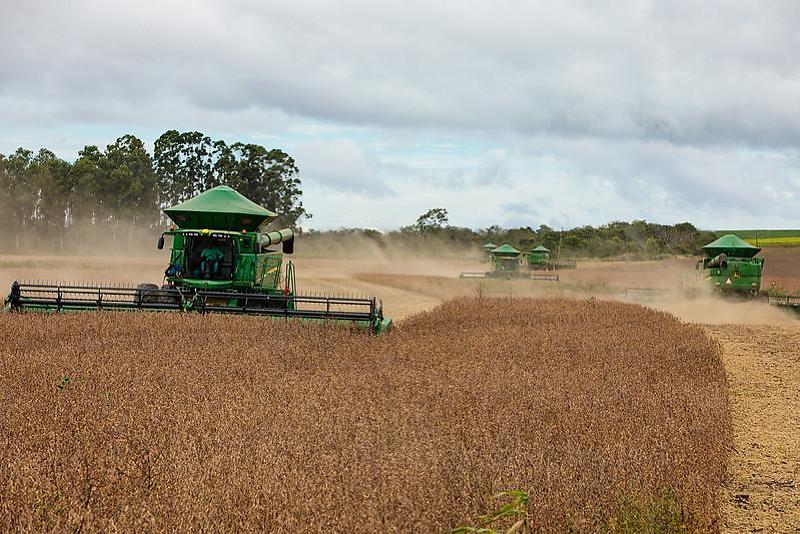 Mato Grosso se Mantém no Topo da Produção de Grãos em 2025/2026 com Incentivos e Crédito Mato Grosso se Mantém no Topo da Produção de Grãos em 2025/2026 com Incentivos e Crédito