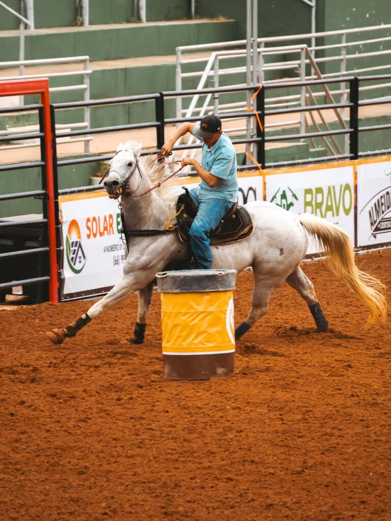 Semana do Cavalo Edição Prime: O Grande Encontro do Agronegócio Equestre em 2026 Semana do Cavalo Edição Prime: O Grande Encontro do Agronegócio Equestre em 2026