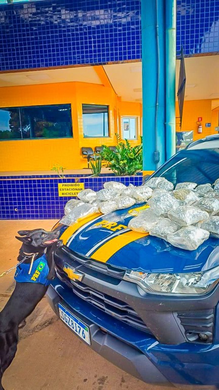 Empresário é Absolvido de Agressão Após Manifestação da Vítima em Sorriso (MT) Empresário é Absolvido de Agressão Após Manifestação da Vítima em Sorriso (MT)