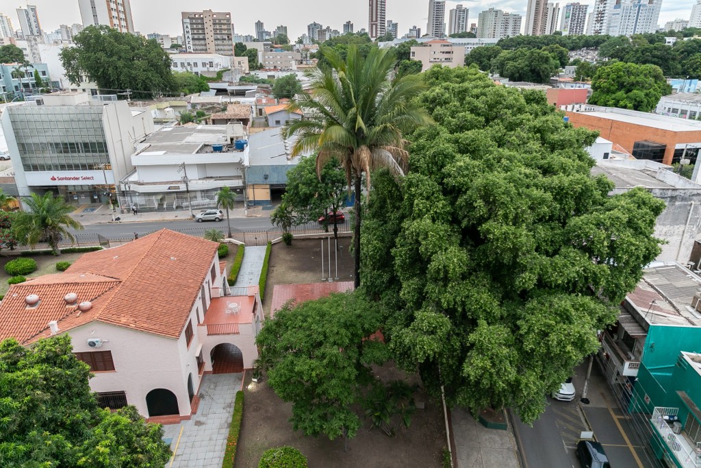 Interdição Total na Rua Cândido Mariano para Poda de Árvores em Cuiabá Interdição Total na Rua Cândido Mariano para Poda de Árvores em Cuiabá
