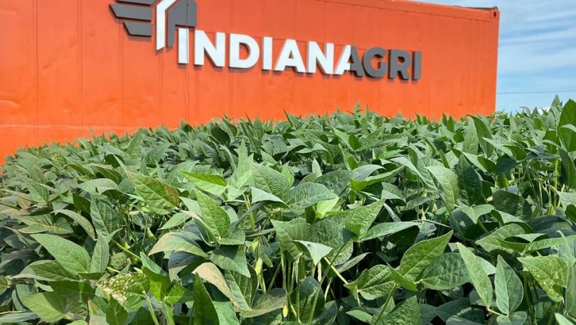 Leilão de Fazenda em MT: Justiça Vende Propriedade de R$ 24 Milhões da Indiana Agri Leilão de Fazenda em MT: Justiça Vende Propriedade de R$ 24 Milhões da Indiana Agri
