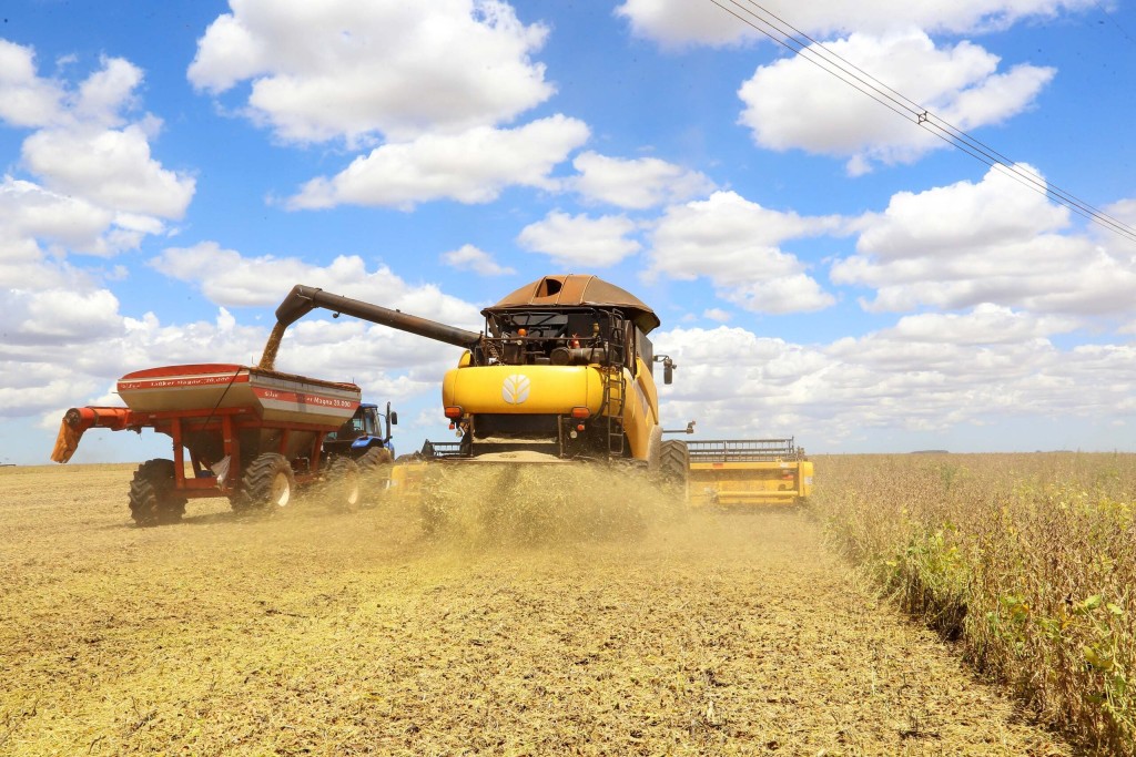 Colheita de Soja em Mato Grosso Atinge 99% e Safrinha de Milho Está Plenamente Plantada Colheita de Soja em Mato Grosso Atinge 99% e Safrinha de Milho Está Plenamente Plantada