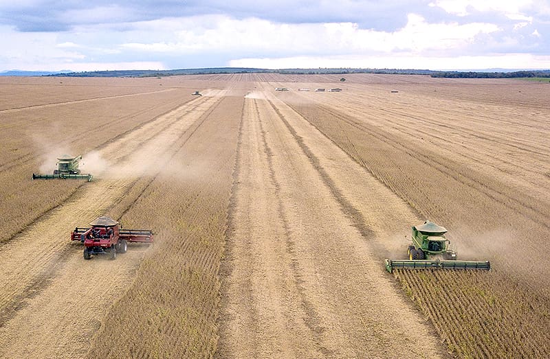 Safra de Soja 2025/26: Produtividade em Alta Apesar dos Desafios Climáticos em MT Safra de Soja 2025/26: Produtividade em Alta Apesar dos Desafios Climáticos em MT