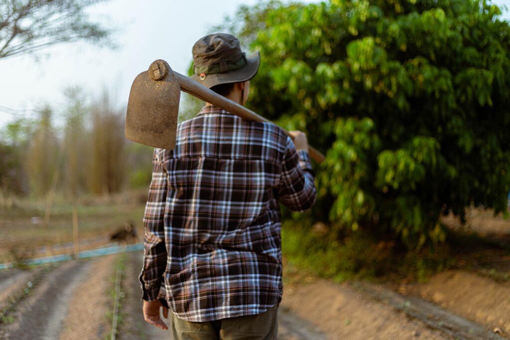 Agronegócio Atinge Recorde na Geração de Empregos em 2025