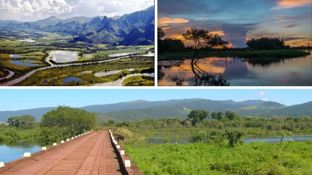Turismo no Pantanal: Experiências Únicas Entre Natureza e Cultura em Mato Grosso e Mato Grosso do Sul Turismo no Pantanal: Experiências Únicas Entre Natureza e Cultura em Mato Grosso e Mato Grosso do Su