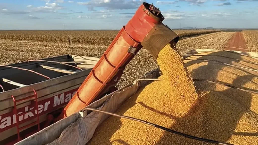 Mato Grosso do Sul Registra Recorde Histórico e Exporta US$ 7,21 Bilhões Até Julho Mato Grosso do Sul Registra Recorde Histórico e Exporta US$ 7,21 Bilhões Até Julho