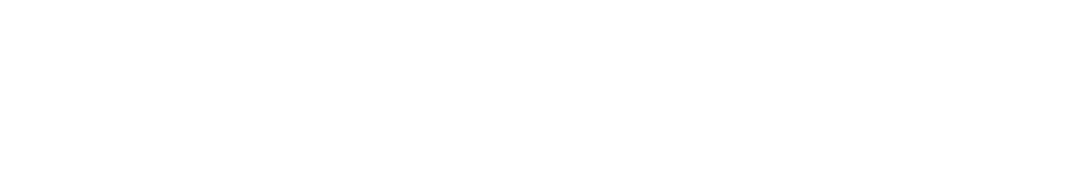 O Diário do Rio