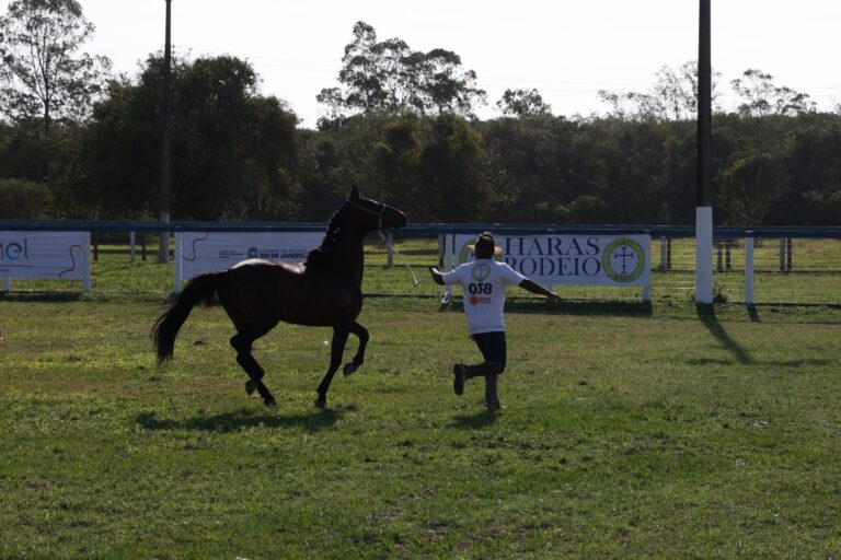 Caminho Agro Rio: Show de Zezé Di Camargo e Mais Atrações Imperdíveis Caminho Agro Rio: Show de Zezé Di Camargo e Mais Atrações Imperdíveis