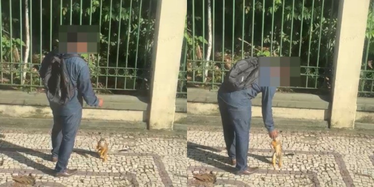 Semma Alerta: Riscos à Saúde Animal com Alimentação de Macacos no Bosque Rodrigues Alves Semma Alerta: Riscos à Saúde Animal com Alimentação de Macacos no Bosque Rodrigues Alves