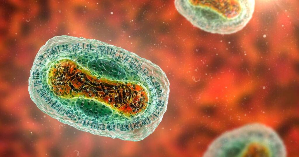 Mpox: principais diferenças entre o surto de 2022 e a situação atual mpox principais diferencas entre