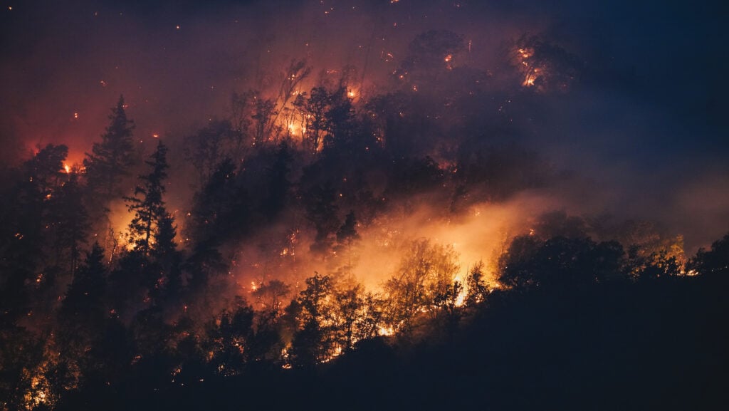 Multas Elevadas: 800 Produtores Notificados por Incêndios no Pará multas elevadas 800 produtores
