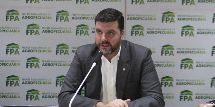 ‘FPA critica governo e Marina Silva por falhas no combate a incêndios’ fpa critica governo e
