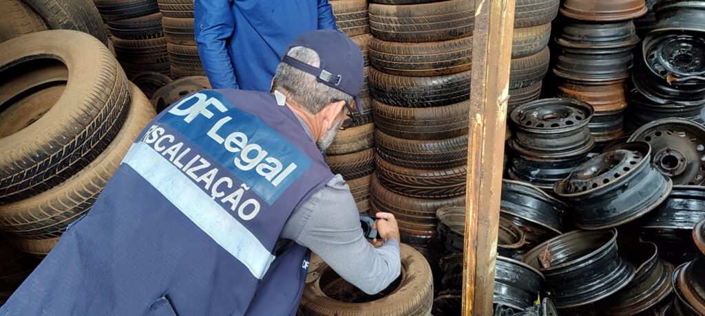 DF Legal promove bem-estar da população com mais de 80 mil ações fiscais em 2024 df legal promove bem estar