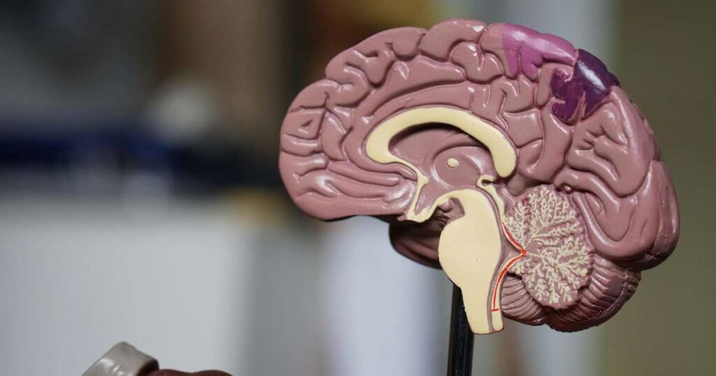 Tragédia na Sérvia: Mulher de 39 anos Morre Após Rompimento de Aneurisma Cerebral Durante Orgasmo Imagem do artigo