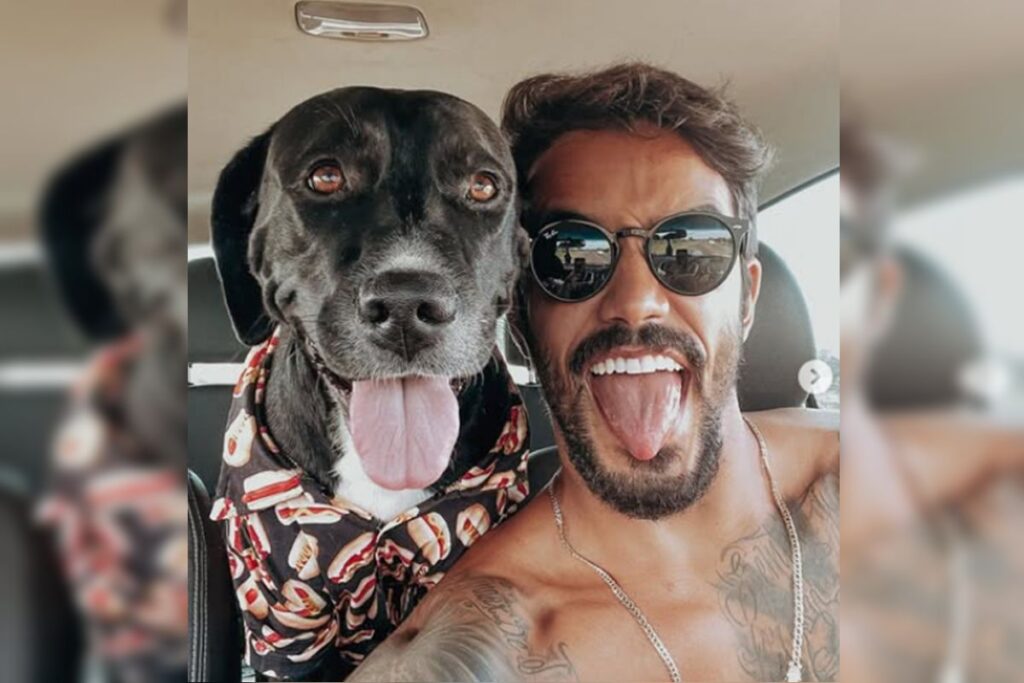 Cães de Influenciador Enviados a Hotel Após Ataque a Pintor no DF Imagem do artigo