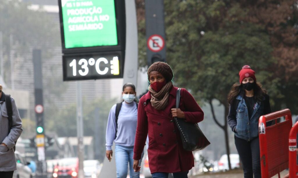Frio Intenso e Massa de Ar Polar Causam Geadas no Sul do Brasil Imagem do artigo