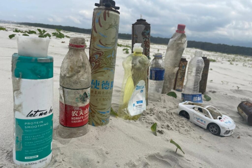 Aumento de 500% no Lixo Internacional nas Praias de São Paulo em Cinco Anos Imagem do artigo
