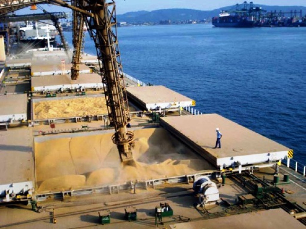 Brasil Consolida Dominância nas Exportações de Soja com 55,8% do Mercado Global Brasil Consolida Dominância nas Exportações de Soja com 55,8% do Mercado Global