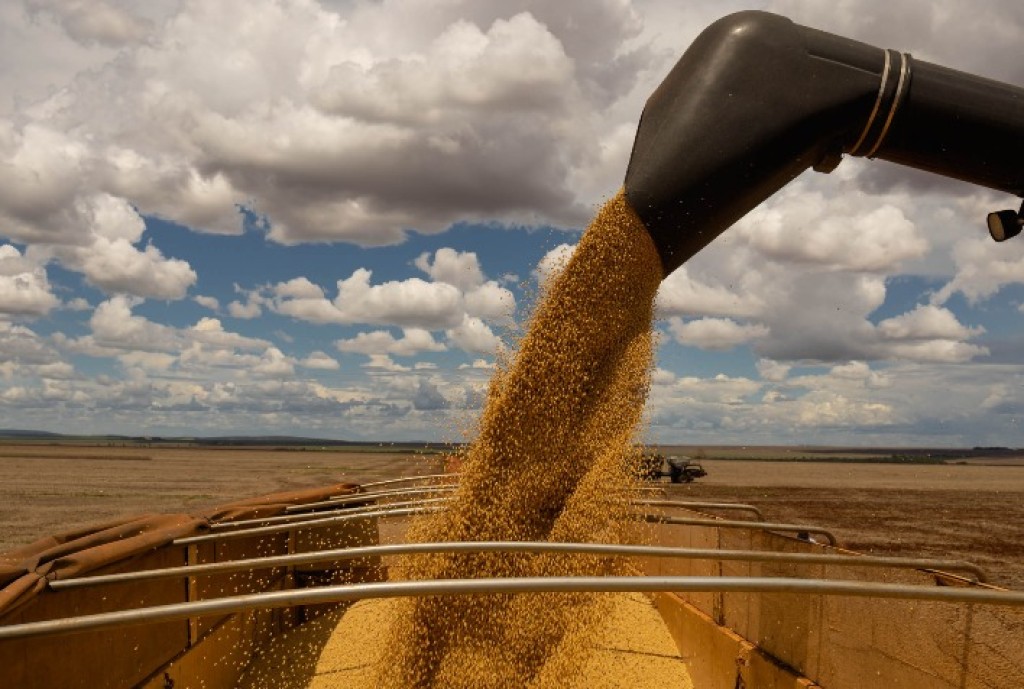Queda nos Preços da Soja: Mercado Brasileiro Enfrenta Desafios na Liquidez Queda nos Preços da Soja: Mercado Brasileiro Enfrenta Desafios na Liquidez