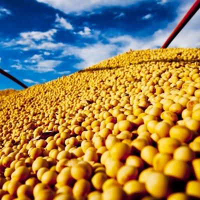 Crescimento do PIB do Agronegócio Brasileiro Chega a 12,20% em 2025 Crescimento do PIB do Agronegócio Brasileiro Chega a 12,20% em 2025