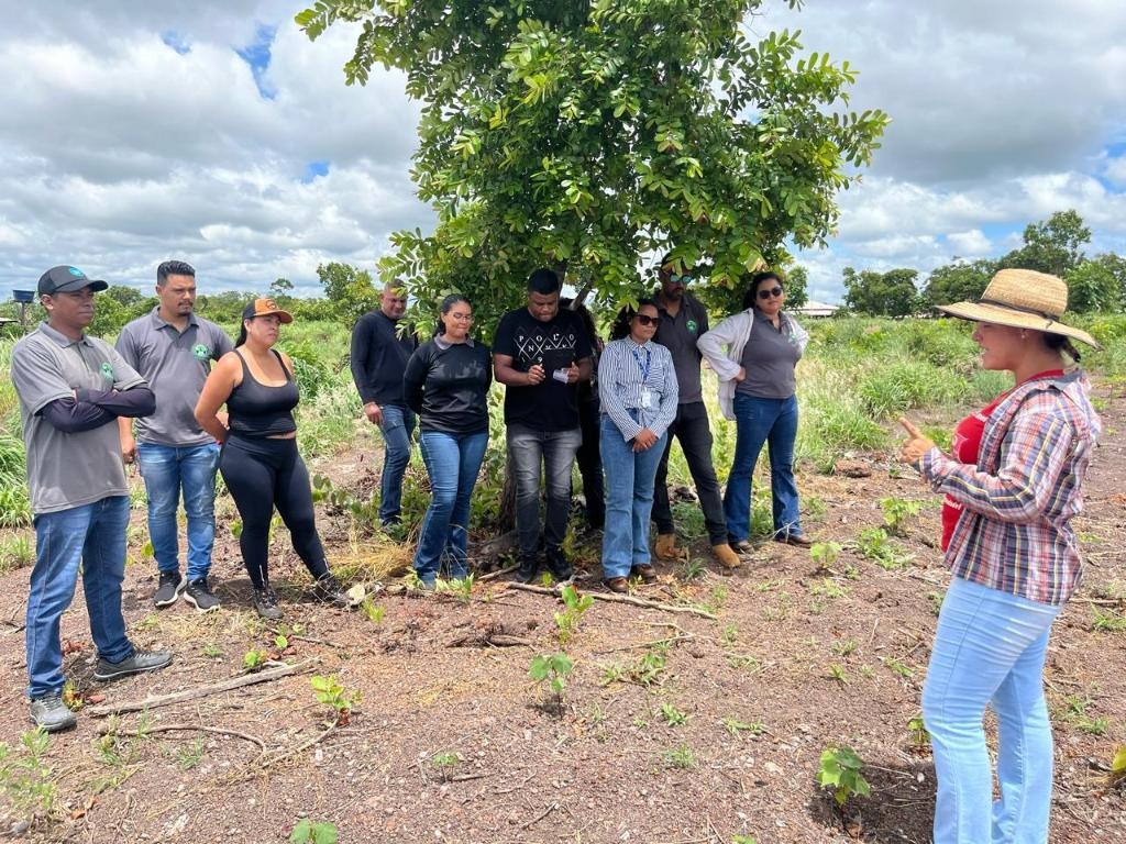 Cursos Técnicos Gratuitos em Agronegócio Aumentam Qualificação em Mato Grosso Cursos Técnicos Gratuitos em Agronegócio Aumentam Qualificação em Mato Grosso