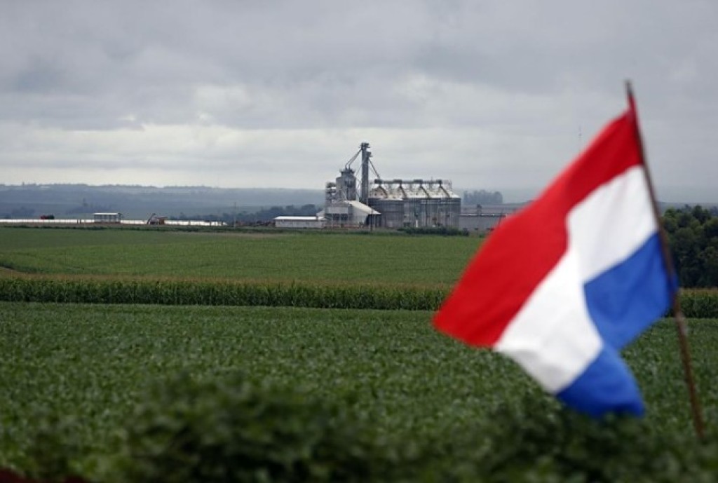 Paraguai Alcança Safra Histórica de Soja e Pode Superar 12 Milhões de Toneladas em 2026 Paraguai Alcança Safra Histórica de Soja e Pode Superar 12 Milhões de Toneladas em 2026
