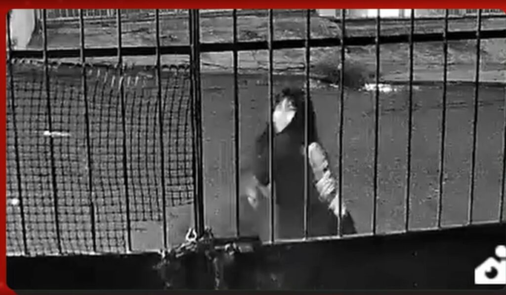 Discussão Precede Feminicídio em Manaus: Vídeo Revela Detalhes do Crime Discussão Precede Feminicídio em Manaus: Vídeo Revela Detalhes do Crime