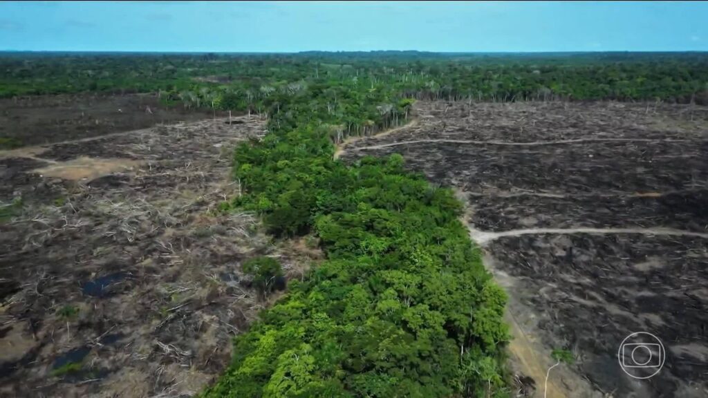 Unidades de Conservação e Terras Indígenas do Amazonas Sob Ameaça Imediata, Afirma Estudo Unidades de Conservação e Terras Indígenas do Amazonas Sob Ameaça Imediata, Afirma Estudo