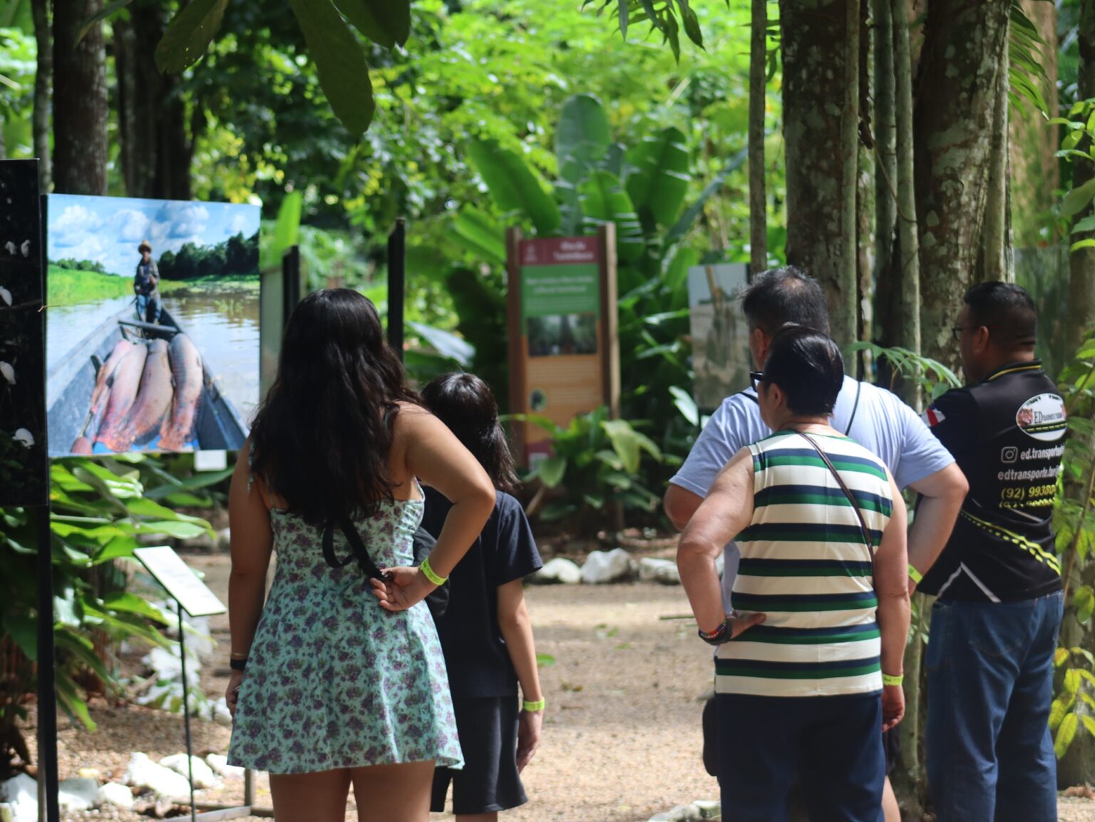 Bosque da Ciência: 31 Anos de Conexão com a Biodiversidade em Manaus Bosque da Ciência: 31 Anos de Conexão com a Biodiversidade em Manaus