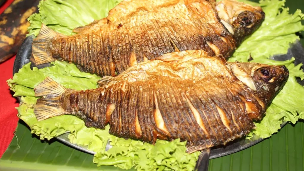 Como os Tipos de Rios no Amazonas Influenciam a Alimentação Local Como os Tipos de Rios no Amazonas Influenciam a Alimentação Local