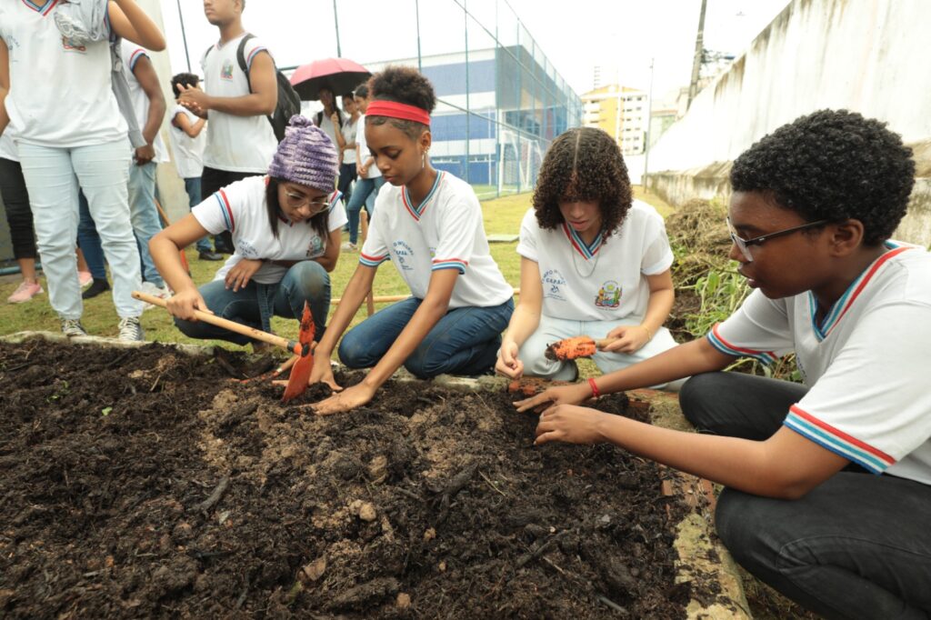 Refletir e Agir: A Importância da Educação Ambiental no Brasil Refletir e Agir: A Importância da Educação Ambiental no Brasil