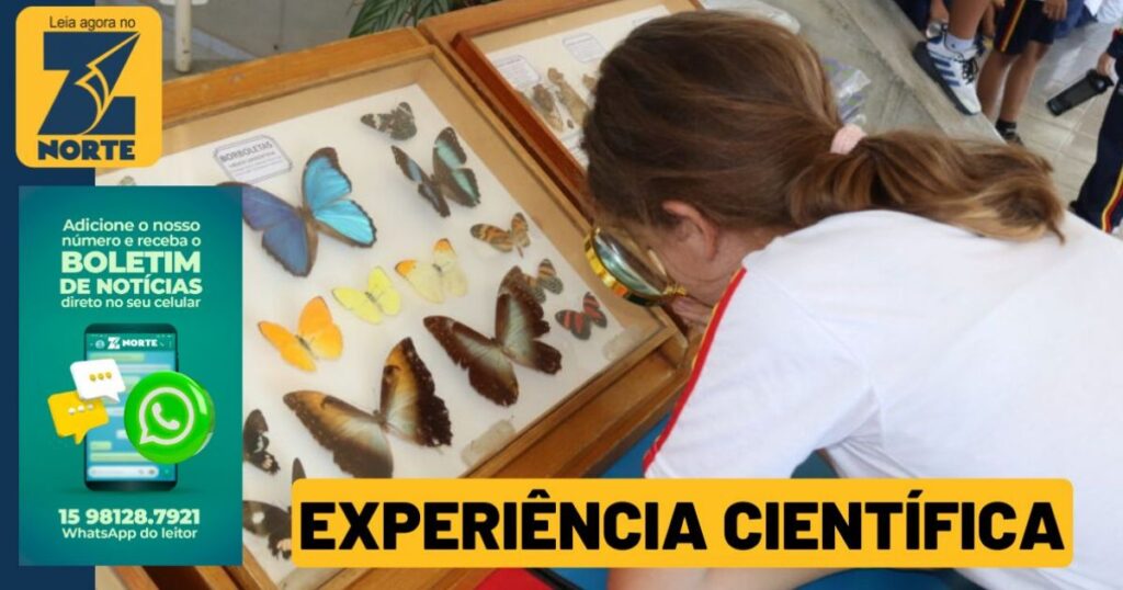 Ciência Móvel em Sorocaba: Diversão e Aprendizado na Biblioteca Municipal