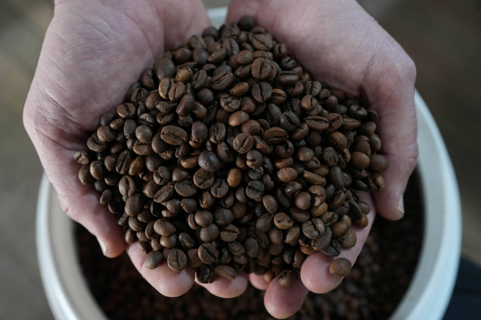Café na Prensa: Minas Gerais Amplia Cultivo de Café Conilon e Enriquece Produção
