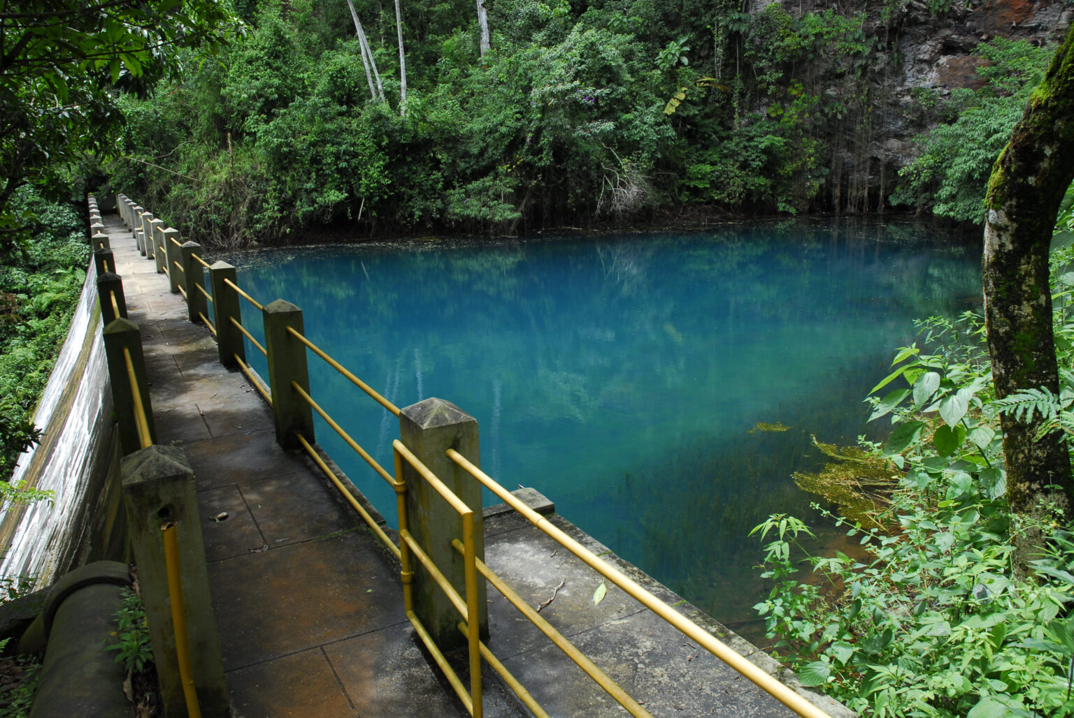 Descubra o Parque Estadual da Serra do Rola-Moça: um refúgio de verão na Grande BH