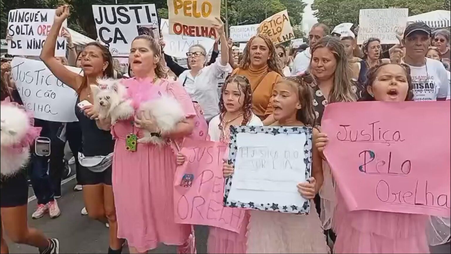 Manifestantes Cobram Justiça pelo Cão Orelha em BH: Uma Mobilização pelo Fim dos Maus-Tratos Manifestantes Cobram Justiça pelo Cão Orelha em BH: Uma Mobilização pelo Fim dos Maus-Tratos